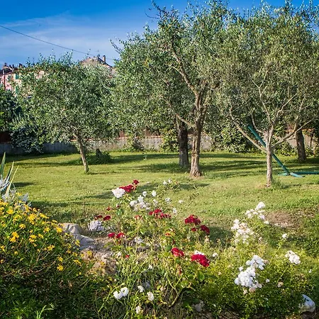 La Casa Fra Gli Ulivi *